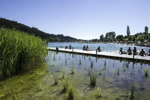 Le Lac Des Sapins in Cublize — foto 6