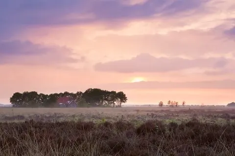 City Hotel de Jonge foto 22