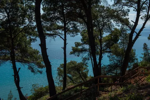 Biohotel Elies 33 in Kassandra Municipal Unit — foto 11