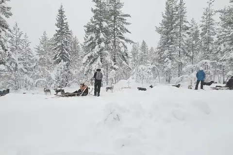 Villa Fregn in Ljørdalen, foto 5