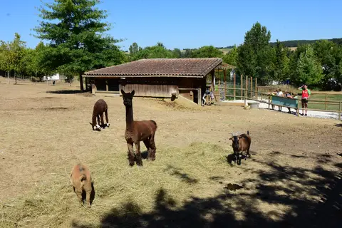 Le Camp De Florence in La Romieu — foto 6