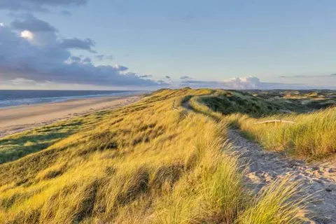 Hotel Neptunus foto 18