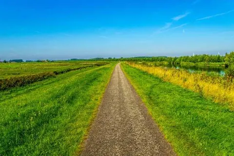 Blue Mansion Hotel foto 6