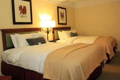 San Carlos New York in New York — foto 7