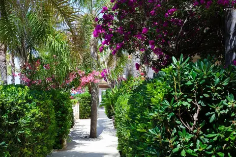 Baia Del Godano Resort & Spa in Ricadi — foto 11