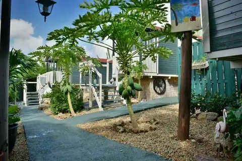 Mammaloe's in Santa Cruz — foto 23