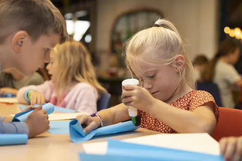 Camping De Bergen foto 16