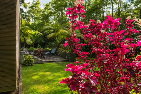 Appartementen Quinta da Mo foto 12