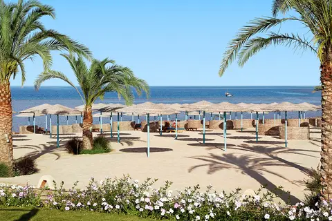 Three Corners Sunny Beach Resort in الاحياء — foto 18
