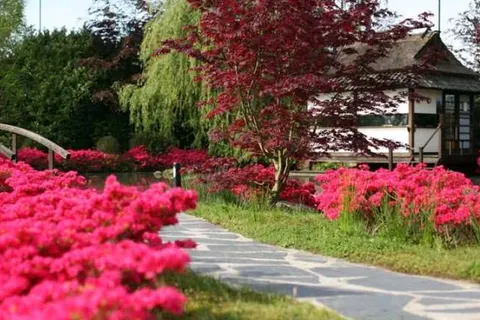 De Bronsbergen Wellness & Hotel foto 29