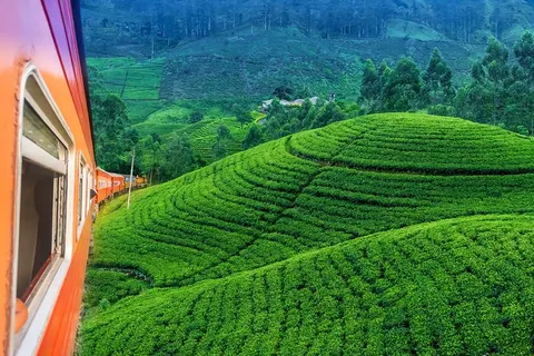 17 daagse fly drive Sri Lanka Klassiek foto 4