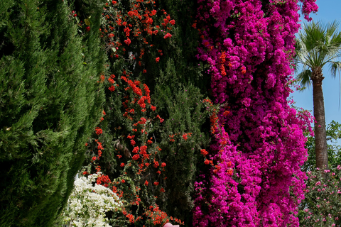 Azia Resort & Spa foto 15