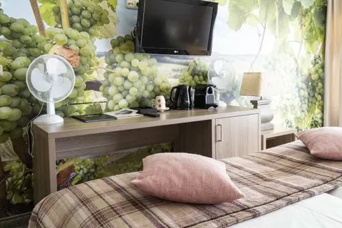 Dormio Wijnhotel Valkenburg foto 23