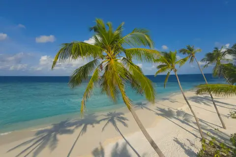 Milaidhoo Island in Milaidhoo, foto 30