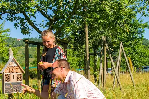 Camping La Roche D Ully in Ornans — foto 15