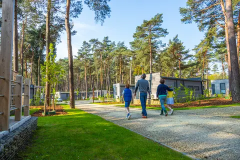 Hoge Kempen in Zutendaal — foto 2