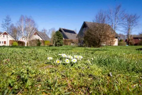 Vakantiepark Drentse Vennen foto 6