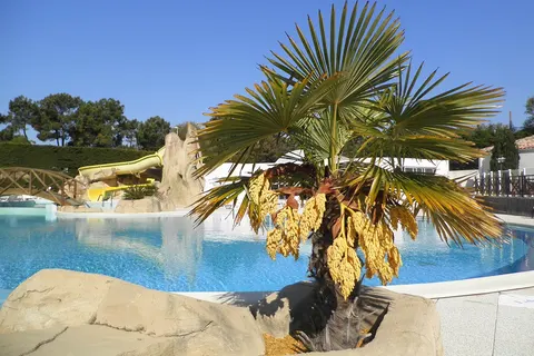 Camping La Yole foto 27