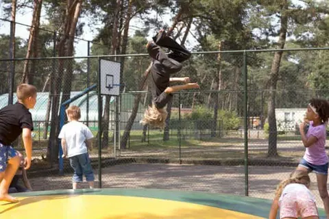 Oostappen Vakantiepark Arnhem foto 7