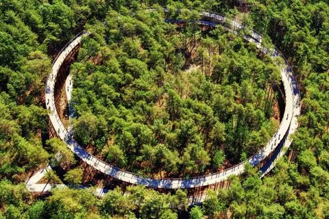 Green Resort Limburg foto 23