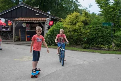 Vakantiepark De Wiltzangh in Ruinen — foto 7