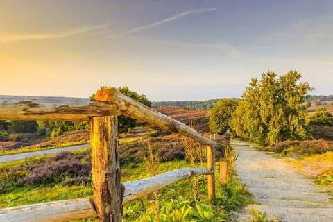 Best Western Hotel Baars foto 18