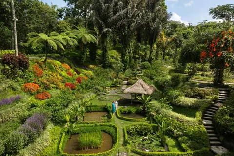 Padma Resort Ubud in Payangan — foto 19