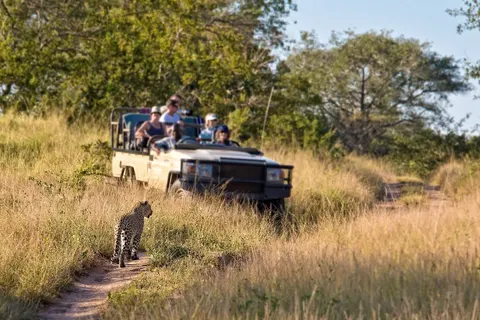 Ultimate Safari Experience - Sefapane Lodge in Pretoria — foto 5