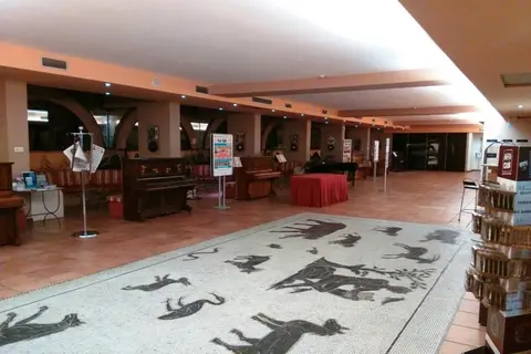 Hotel Giò Wine e Jazz Area in Perugia, foto 21