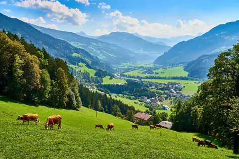 Ontdek Tirol in Innsbruck — foto 7