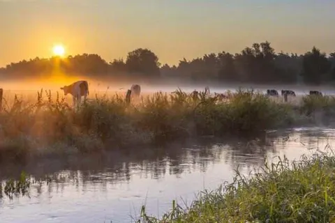 Bed and Breakfast Erve Fakkert foto 14