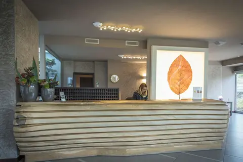 Hotel Aqualux Suite & Terme in Bardolino, foto 23