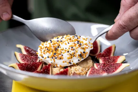 Basecamps Cerdanya foto 24