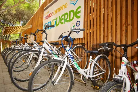 Camping Cieloverde in Grosseto — foto 8