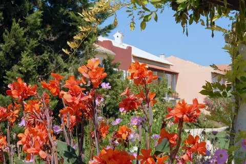St. George's Bay Country Club in Αχαράβη — foto 27