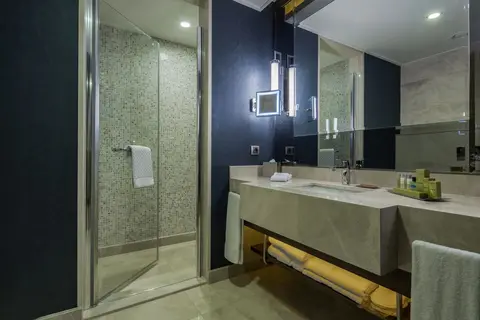 DoubleTree by Hilton Istanbul Topkapi in İstanbul, foto 2