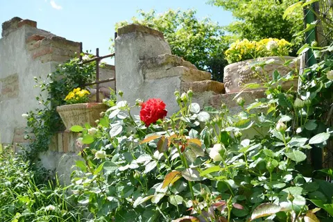 Le Terre dei Cavalieri Hotel in Cortona — foto 10