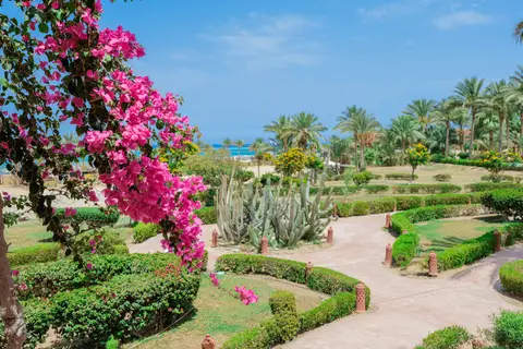Dream Lagoon Resort & Aqua Park in Floriana Lagoon — foto 7