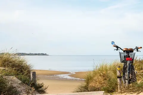 Flower Le Platin Redoute in Rivedoux-Plage — foto 5