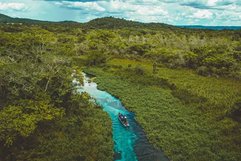 Discover the Nature of Brazil in Rio de Janeiro — foto 2