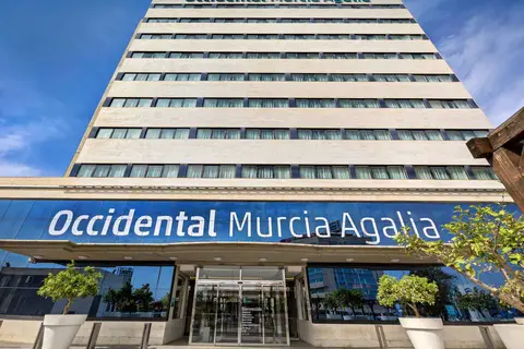 Occidental Murcia Agalia in Murcia — foto 10