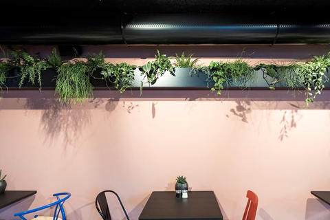 Sporthotel Passo Carezza foto 5