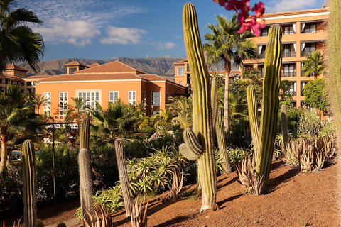 Hotel H10 Costa Adeje Palace foto 25