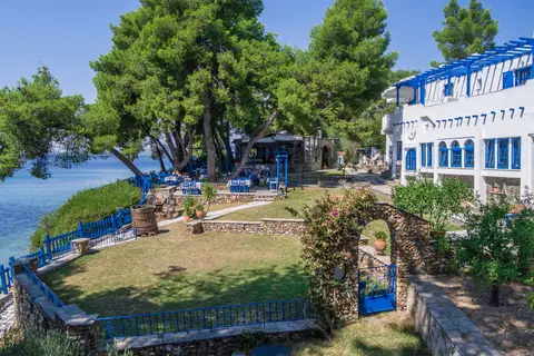 Virginia Hotel in Δημοτική Ενότητα Σιθωνίας — foto 16