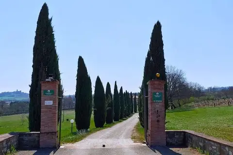 Torrebianca Tuscany in Rignano sull'Arno — foto 15