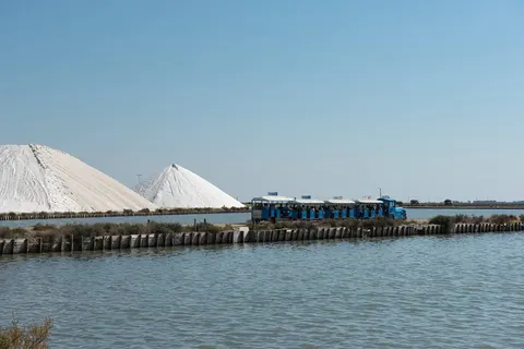 Ontdek de Provence per trein en boot, Avignon foto 20