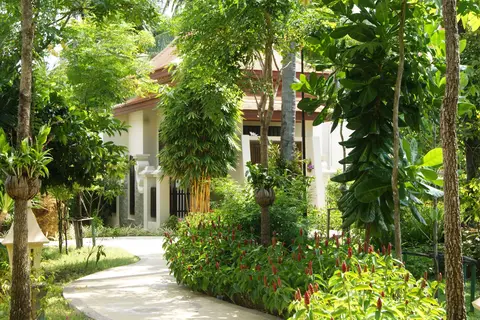 Hotel Duangjitt Resort & Spa in ตำบลป่าตอง — foto 4