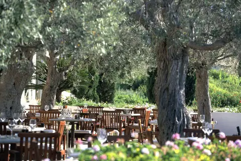 Anassa Hotel in Νέο Χωριό — foto 9