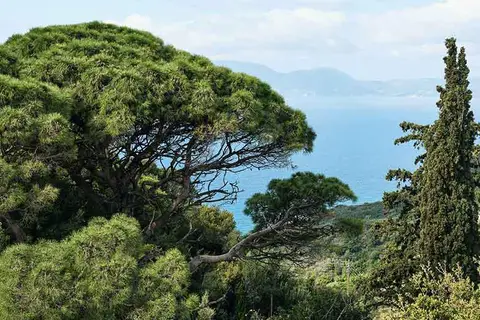 Appartementen Azzure Vista in Δημοτική Ενότητα Ζακυνθίων — foto 25