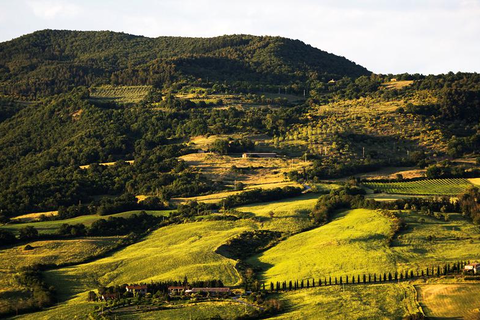 Casale le Crete in Acquapendente — foto 30